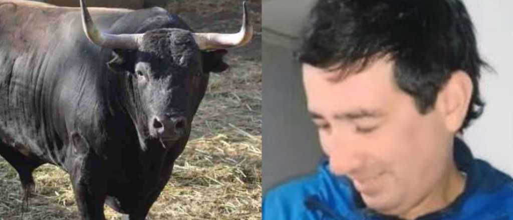Trabajador rural tropez&oacute; en un tambo y muri&oacute; atacado por un toro