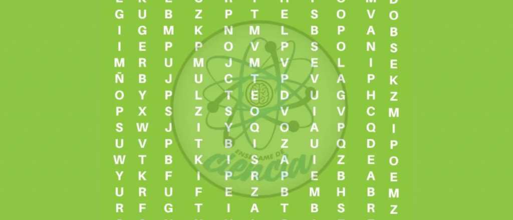 ¡Solo para habilidosos! ¿Dónde se oculta la palabra "pantera"?