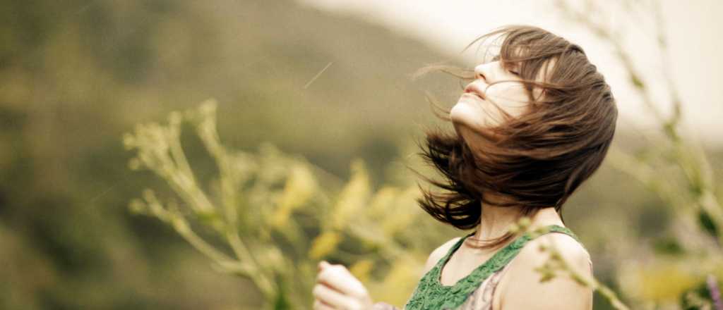 Luna en Leo: &iquest;qu&eacute; signos se ver&aacute;n beneficiados?