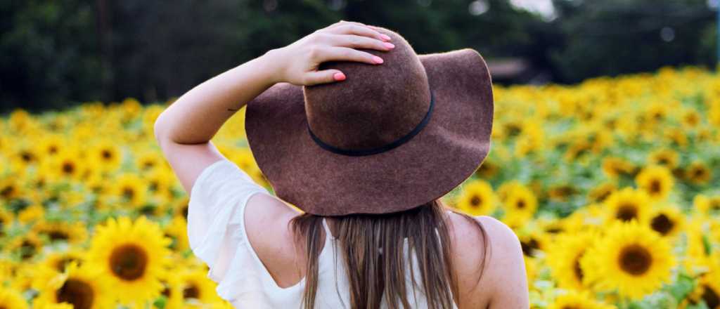 Hor&oacute;scopo de hoy: qu&eacute; esperan los signos para este viernes 4