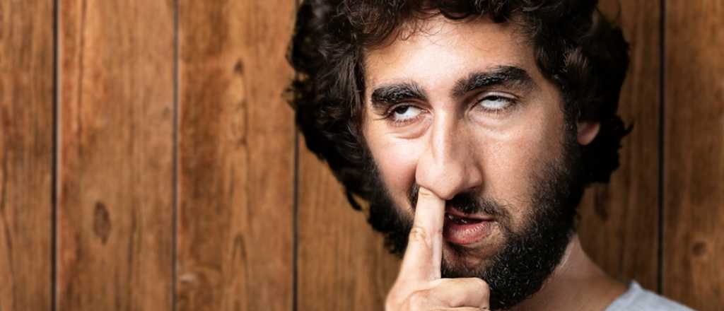 Un estudio revela los tres tipos de estupidez humana