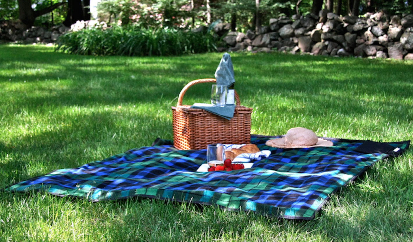 Cómo armar un picnic perfecto (en 6 pasos) - Mendoza Post