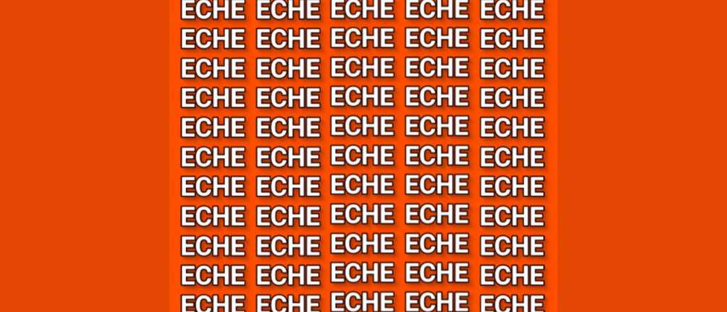 Sopa de letras: ¿dónde se oculta la palabra "leche"?