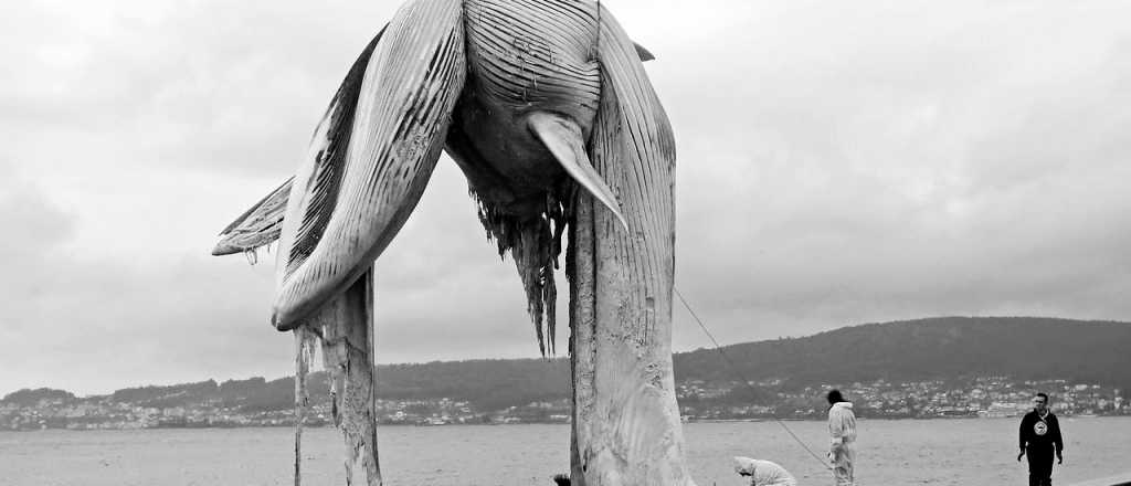 Cr&oacute;nicas del subsuelo: ACGUNDT