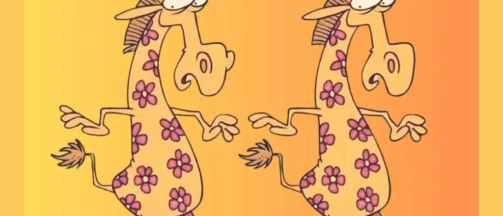 Reto visual: ¿podés encontrar las tres diferencias entre las jirafas?
