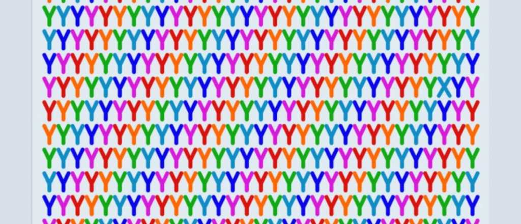 Prueba viral: ¿podés encontrar dónde se oculta la letra "X"?