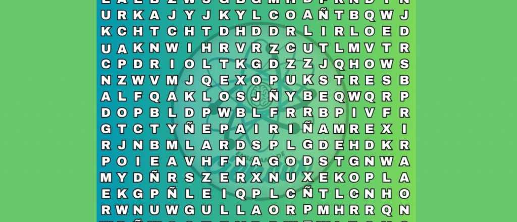 Sopa de letras: pocas personas pueden encontrar la palabra "selva"
