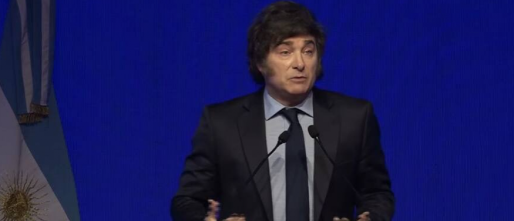 Milei acus&oacute; a Alfons&iacute;n de golpista y los radicales reaccionaron con furia