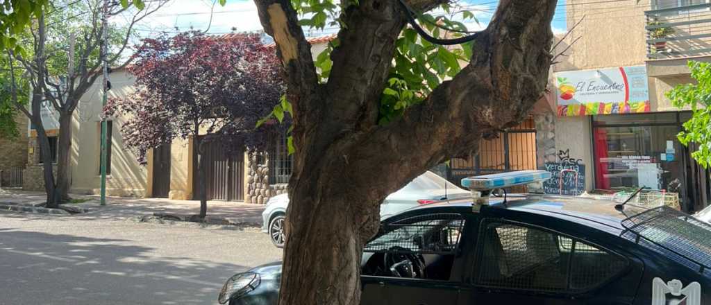 Detuvieron a dos adolescentes que robaban cables en Maip&uacute; 