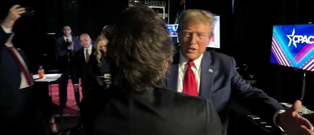 Motosierras de exportaci&oacute;n y la fantas&iacute;a del tel&eacute;fono que suena