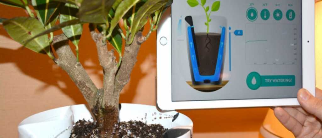 Macetas inteligentes: qu&eacute; son y c&oacute;mo mejoran el cuidado de tus plantas