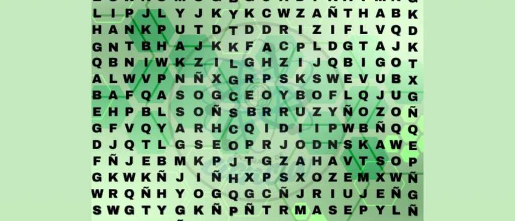 Sopa de letras: &iquest;pod&eacute;s encontrar la palabra "hospital"? 