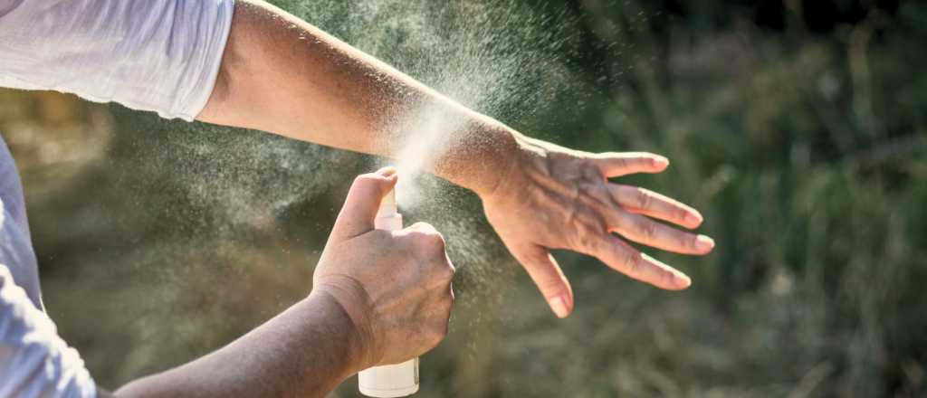 Cómo hacer un repelente casero con dos ingredientes en minutos
