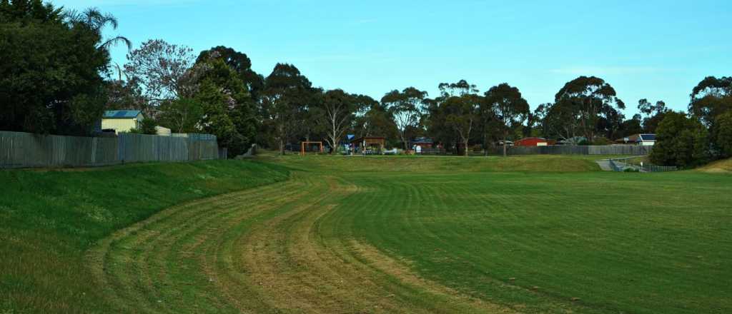 Pasto reci&eacute;n cortado: &iquest;A qu&eacute; se debe su aroma? 