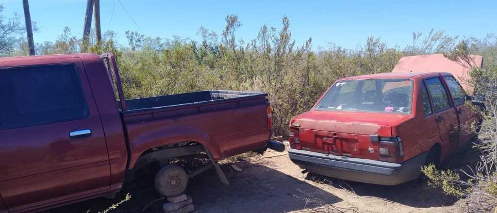 Buscaban chanchos robados y encontraron autos sustraídos, en Tupungato