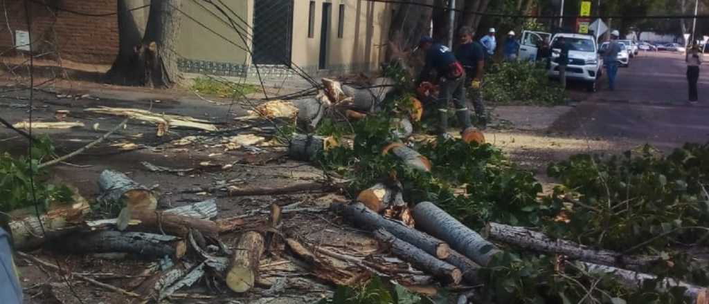 Zona x zona: los destrozos que dej&oacute; la fuerte tormenta en Mendoza 