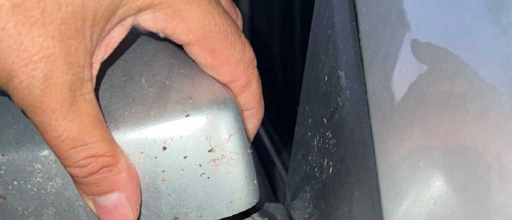 Tras la acusación de Guaymallén, desde ACAMA salieron a responder