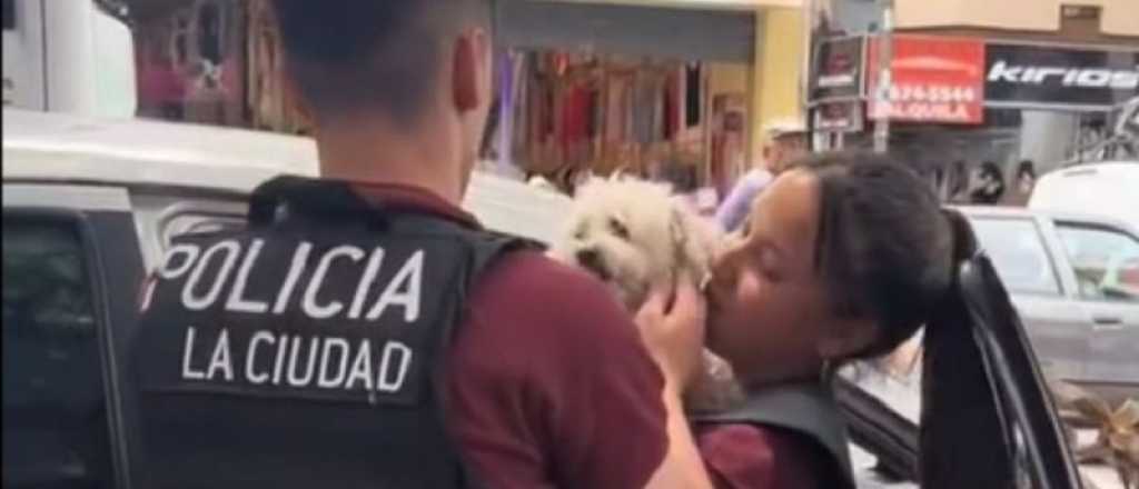 Video: otro perro fue rescatado porque una mujer lo dej&oacute; encerrado en el auto