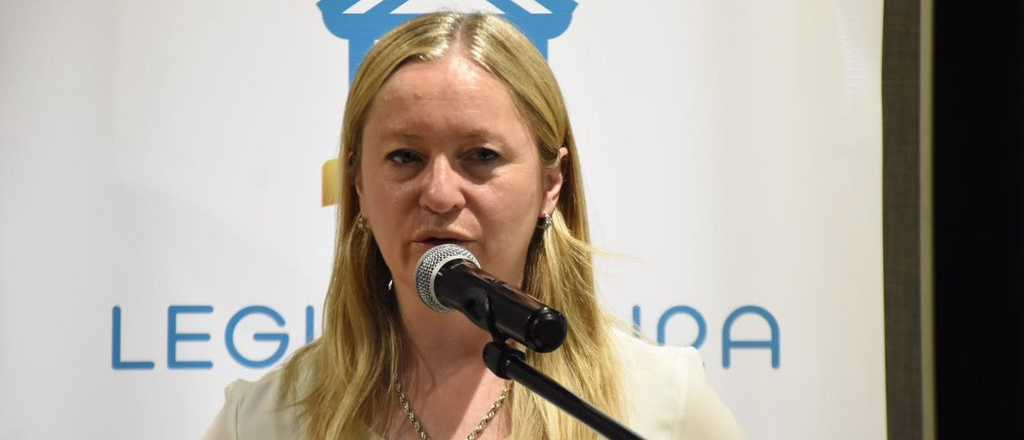 La vicegobernadora pidi&oacute; disculpas y carg&oacute; contra sus detractores