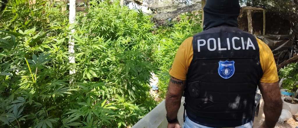 Desbarataron kioscos de droga en tres departamentos de Mendoza