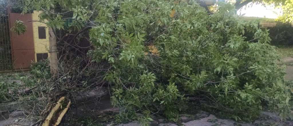 Ca&oacute;tico: ya se derrumbaron 12 casas en Guaymall&eacute;n