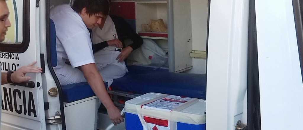 Mendoza qued&oacute; entre las diez provincias con m&aacute;s donantes de &oacute;rganos