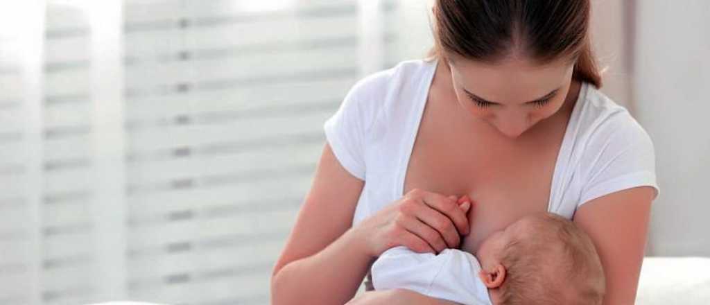 Lanzan un taller gratuito sobre lactancia materna y cuidados del beb&eacute;