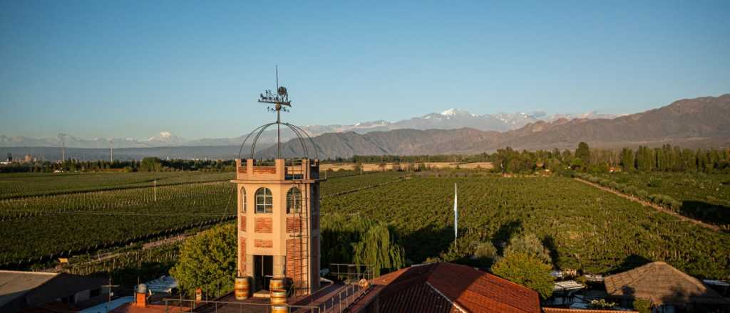 El mejor tinto de Mendoza al mundo sorprende por su excelente precio