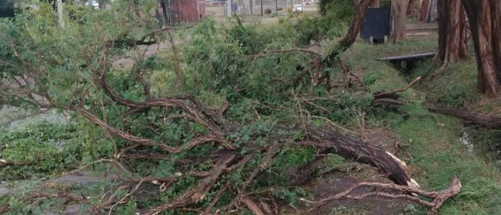 San Rafael y Guaymallén, las zonas más afectadas por la tormenta de anoche