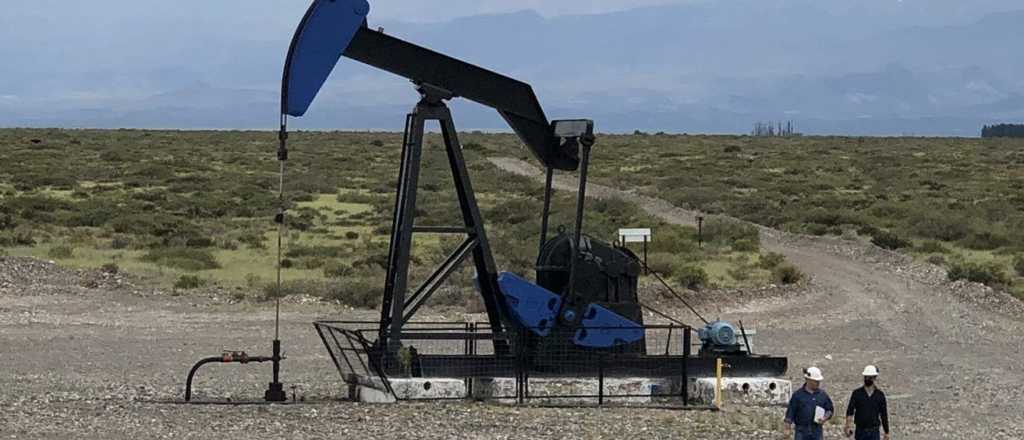 Mendoza, una provincia petrolera con vino: cómo les fue y cómo les irá