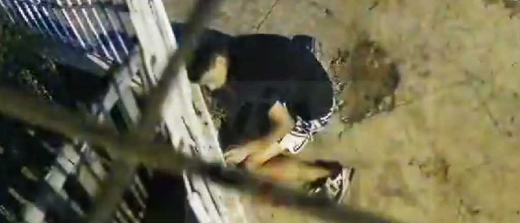 Video: un polic&iacute;a mat&oacute; a un ladr&oacute;n en un intento de robo