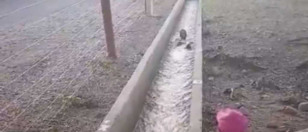 Video peligroso y viral: ni&ntilde;os se sumergen en un canal de Tunuy&aacute;n