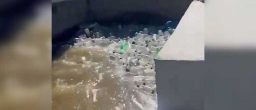 Video: la basura en un canal de San Mart&iacute;n y el grave problema de ser sucios