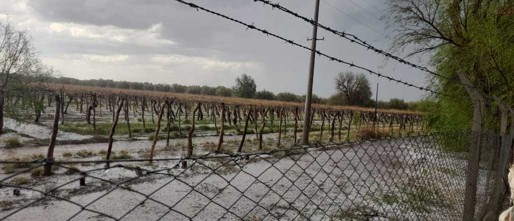 Alerta amarilla por tormentas y Zonda en Mendoza: mir&aacute; el radar en vivo