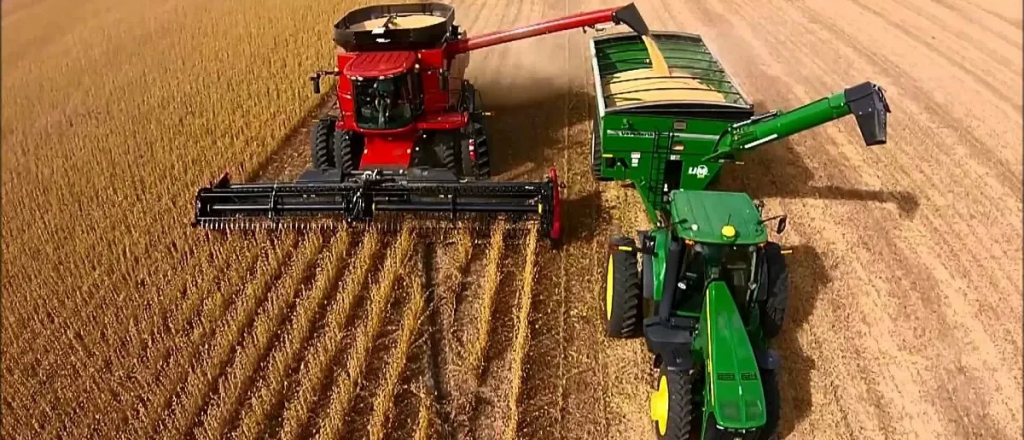 Record en producción de legumbres: mejor rendimiento y mayor superficie 