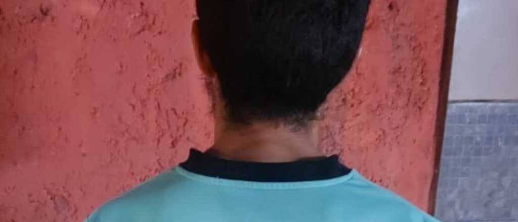 Capturaron en Maipú a un ladrón vinculado a la "banda de las empresas"