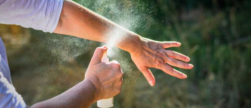 La ANMAT prohibi&oacute; dos marcas de repelentes: cu&aacute;les son