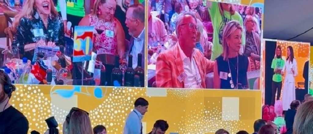 Un lote de Malbec mendocino se vendió en medio millón de dólares