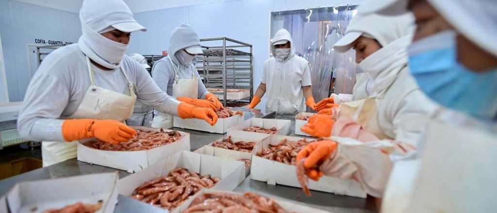 AISA Group compra la pesquera Cabo Vírgenes S.A.