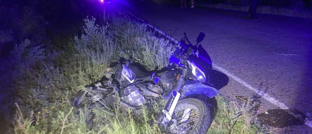 Un motociclista muri&oacute; tras chocar contra un caballo en Rivadavia