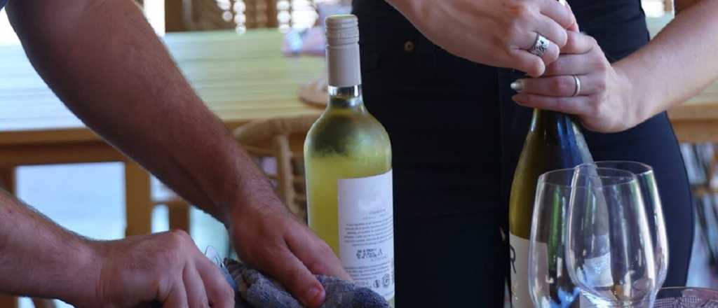 Festival del Malbec y el Olivo: chefs brindarán una clase de cocina