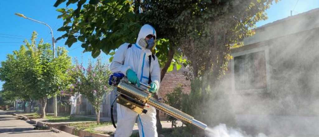 Dengue en Mendoza: ¿qué hacen el Gobierno y el Iscamen?