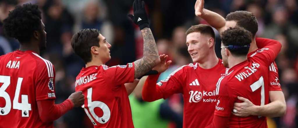 El sorprendente Forest de Nico Domínguez sigue dando que hablar