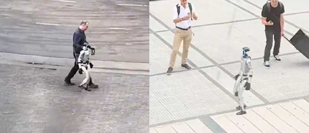 Video: asombro por un robot que apareció caminando en Puerto Madero