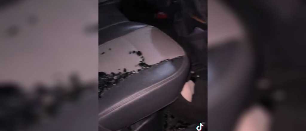 Video: le reventaron la camioneta en Godoy Cruz a turistas reci&eacute;n llegados