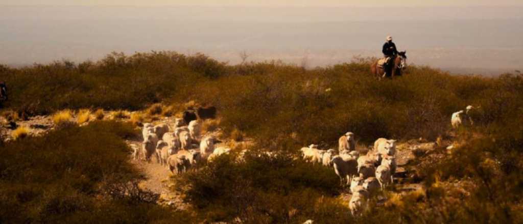 Morillas sobre Yaucha: "Tambi&eacute;n buscamos que sea un terreno productivo"