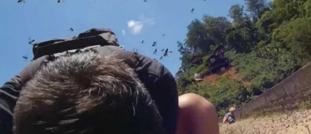 Murió un hombre atacado por abejas en San Martín