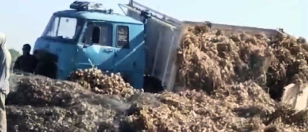 Un cami&oacute;n volc&oacute; su carga de ajo al romperse el eje trasero en Tunuy&aacute;n