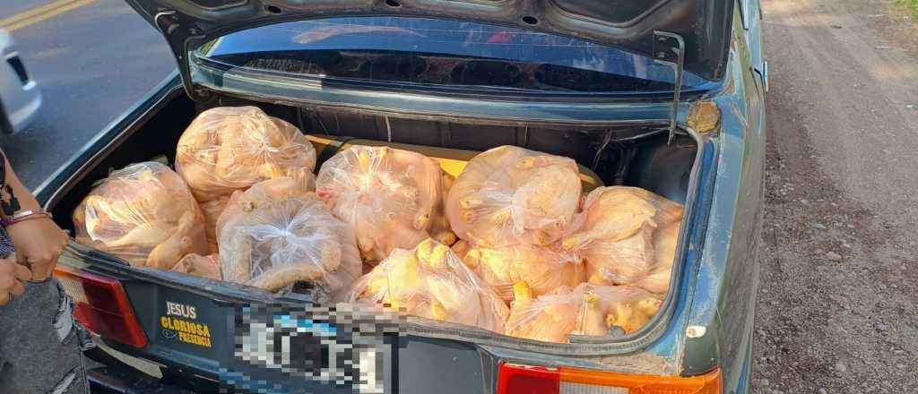 Secuestraron m&aacute;s de 200 kilos de alimentos mal conservados en San Carlos