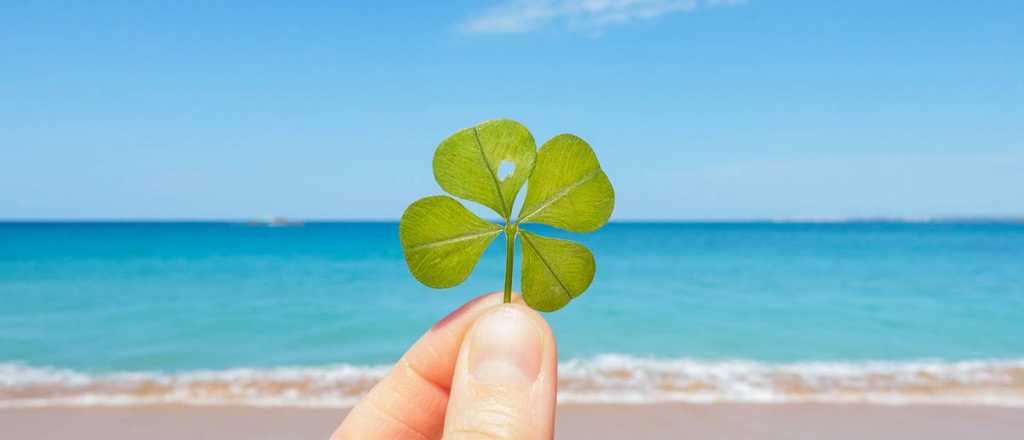 Cuáles son los números de la suerte de este miércoles 19 de febrero